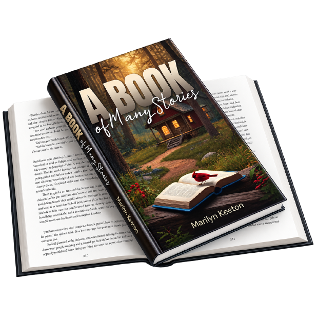 Book written by American Noble Authors ghostwriters